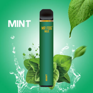 Mr Fog Max Mint