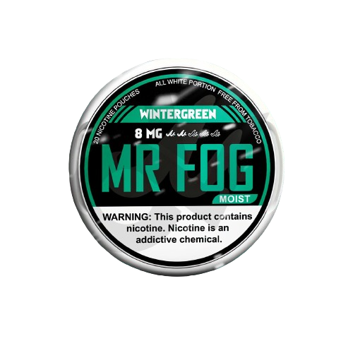 MOIST – COOL MINT – MR FOG NICOTINE POUCHES 8MG – 20CT/5PK