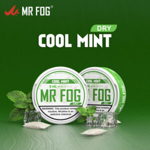 DRY – COOL MINT – MR FOG NICOTINE POUCHES 8MG – 20CT/5PK