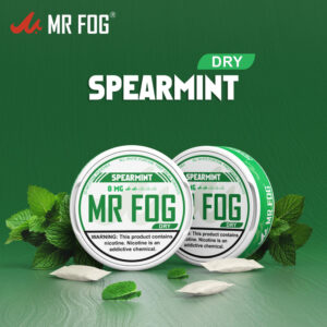 DRY – SPEARMINT – MR FOG NICOTINE POUCHES 8MG – 20CT/5PK