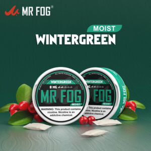 MOIST – WINTERGREEN – MR FOG NICOTINE POUCHES 8MG – 20CT/5PK