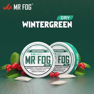 DRY – WINTERGREEN – MR FOG NICOTINE POUCHES 8MG – 20CT/5PK