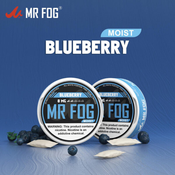 MOIST – BLUEBERRY – MR FOG NICOTINE POUCHES 8MG – 20CT/5PK