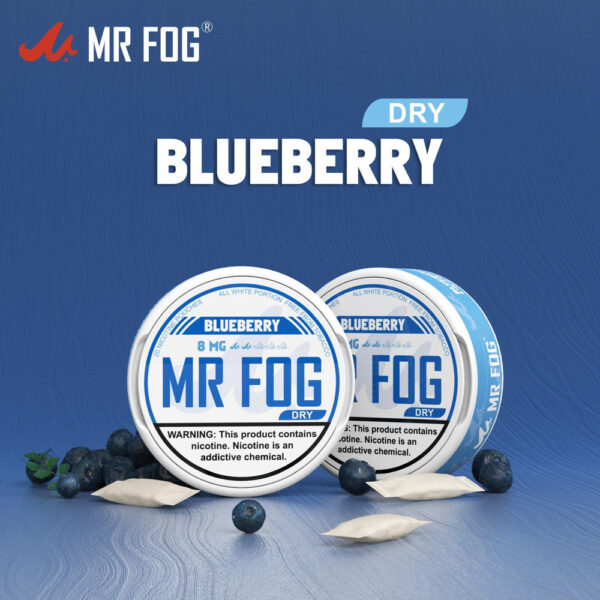 DRY – BLUEBERRY – MR FOG NICOTINE POUCHES 8MG – 20CT/5PK